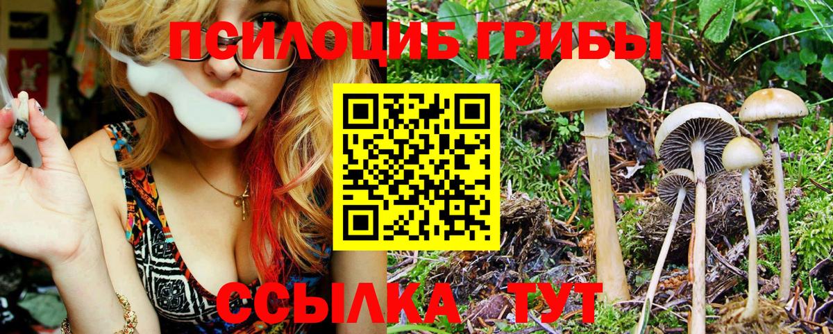 Томск  Псилоцибиновые грибы мухоморы  Вход с VPN  Псилоцибиновые грибы GOLDEN TEACHER 