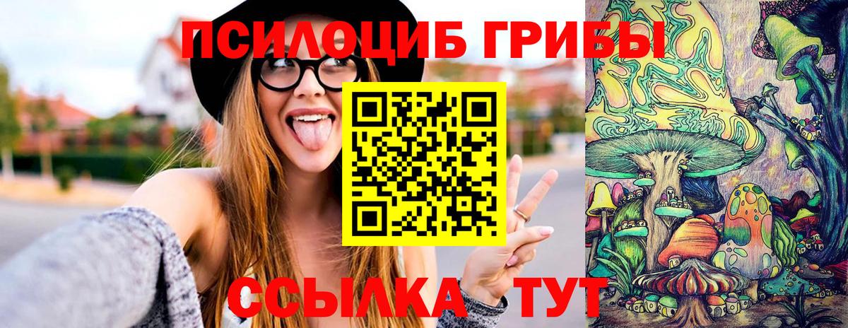 Псилоцибиновые грибы Cubensis Томск